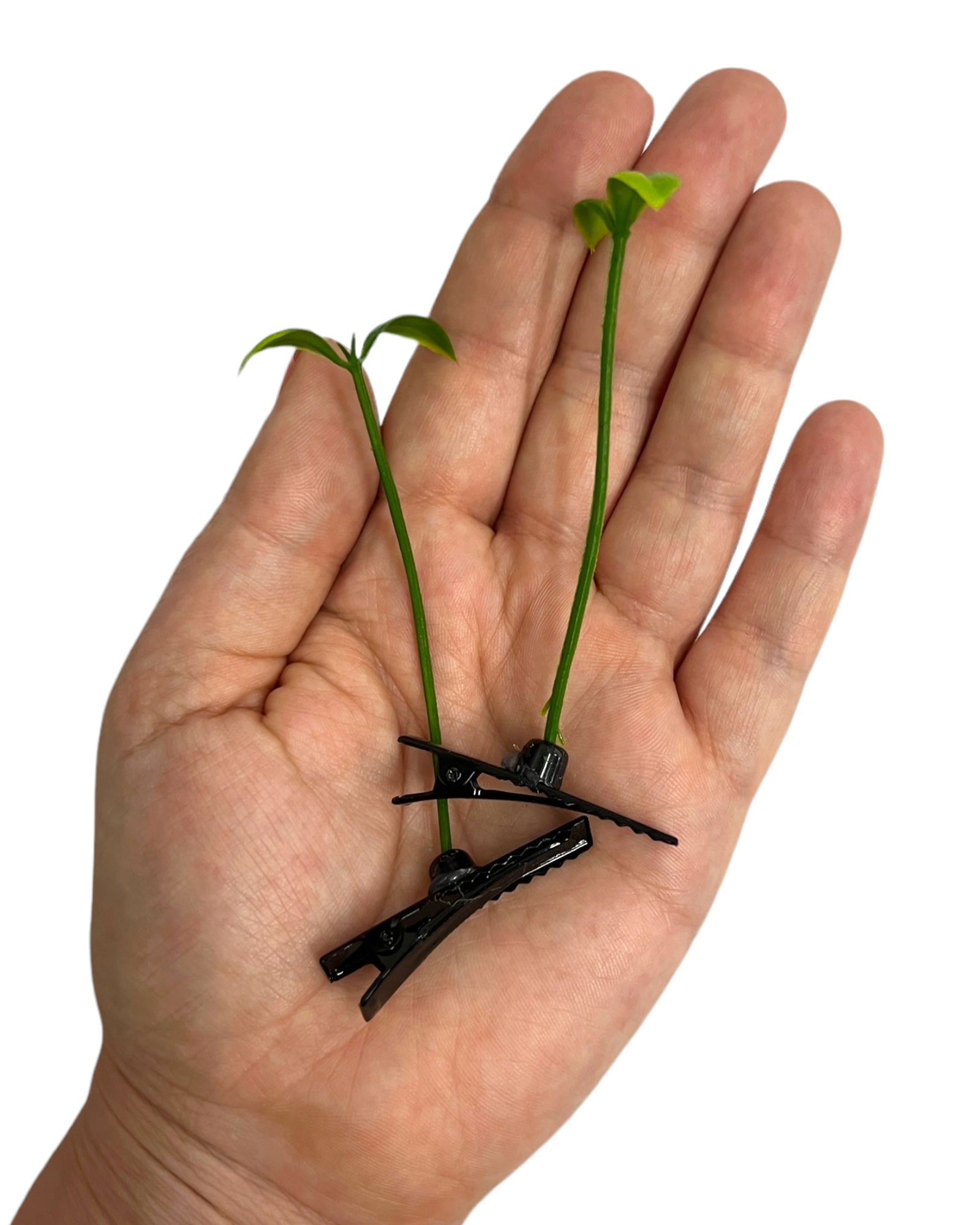 Classic Sprout Clips 2-PC Set | Rave Trinkets | Sprouts For Raves